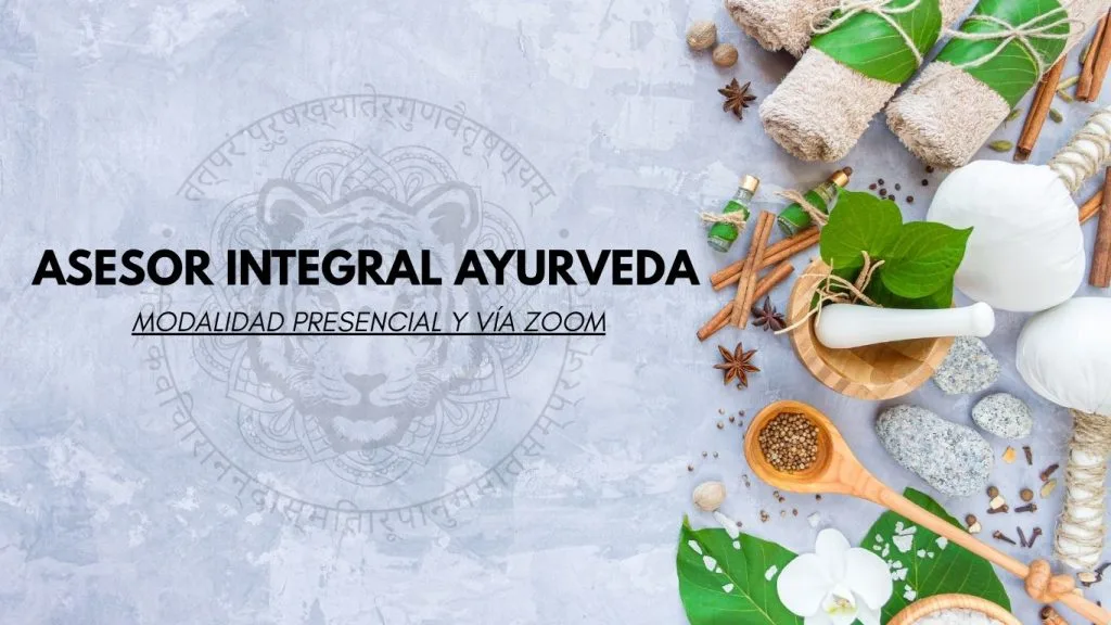 AIYA Instituto Yoga y Ayurveda
