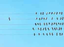 Animate Psychotherapie