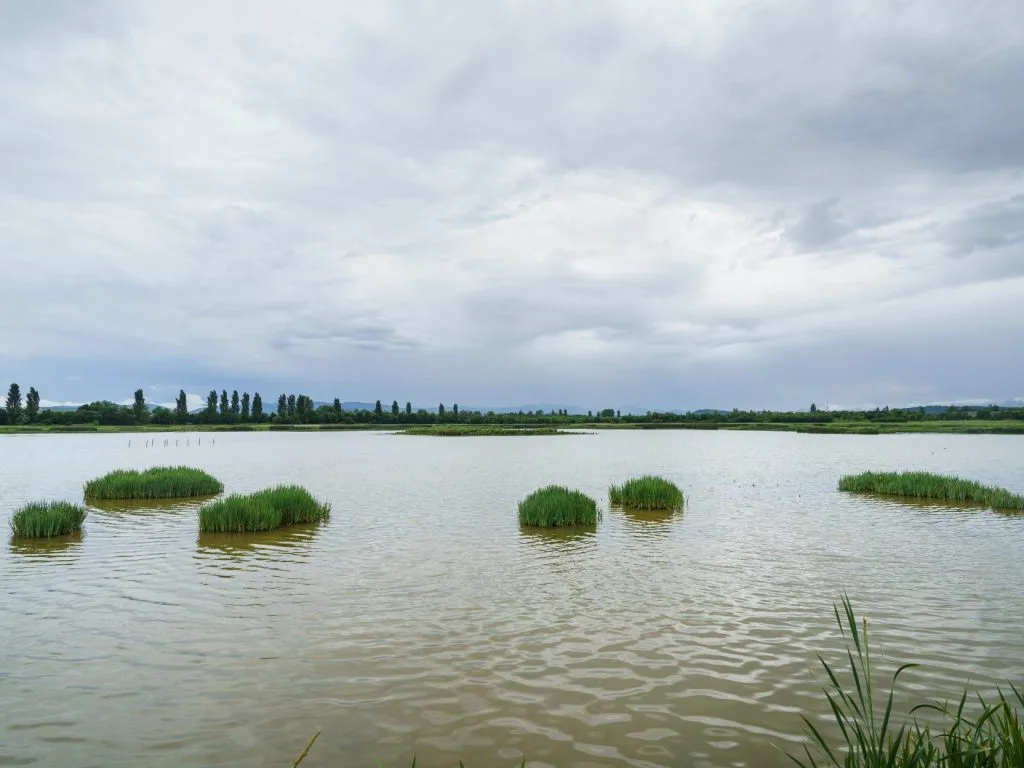 Ataria - Centro de Interpretación de los Humedales de Salburua