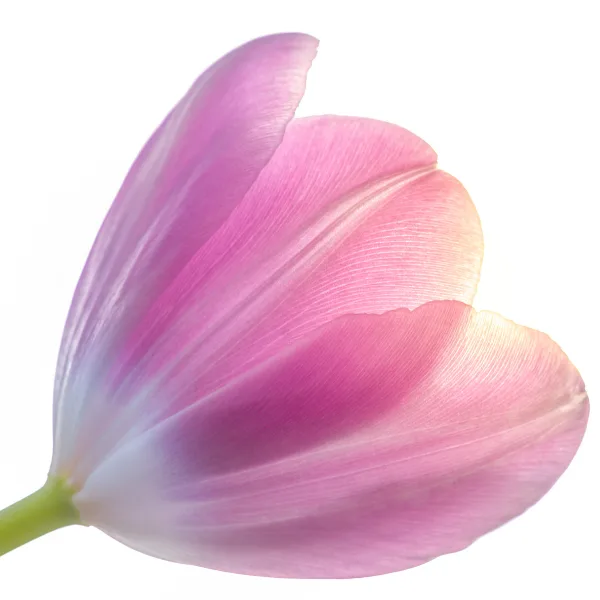Naturveda
