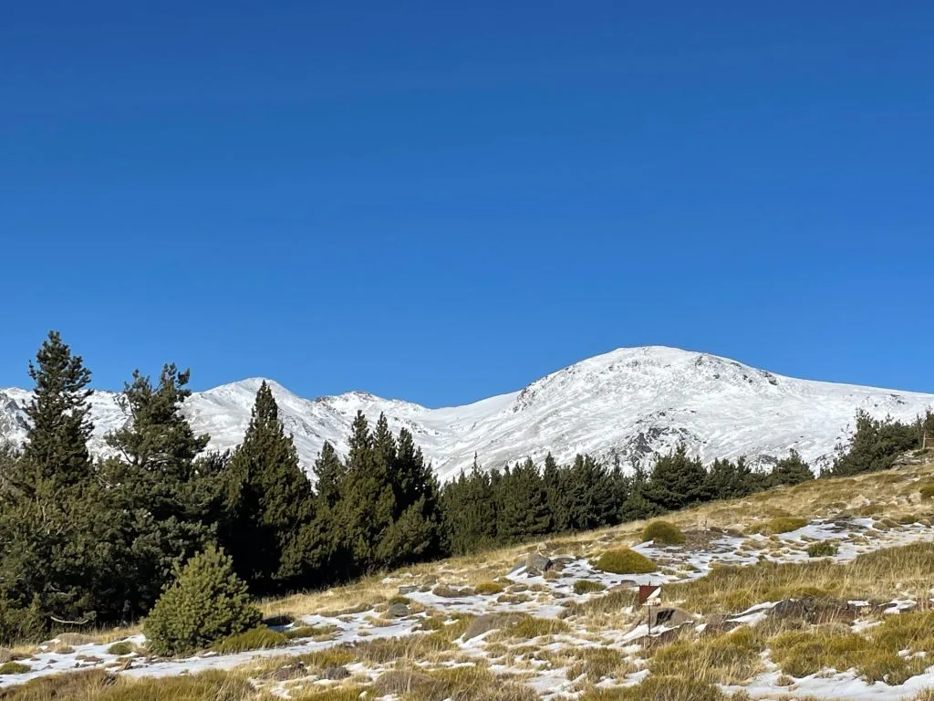 Nevalia Guías de Montaña