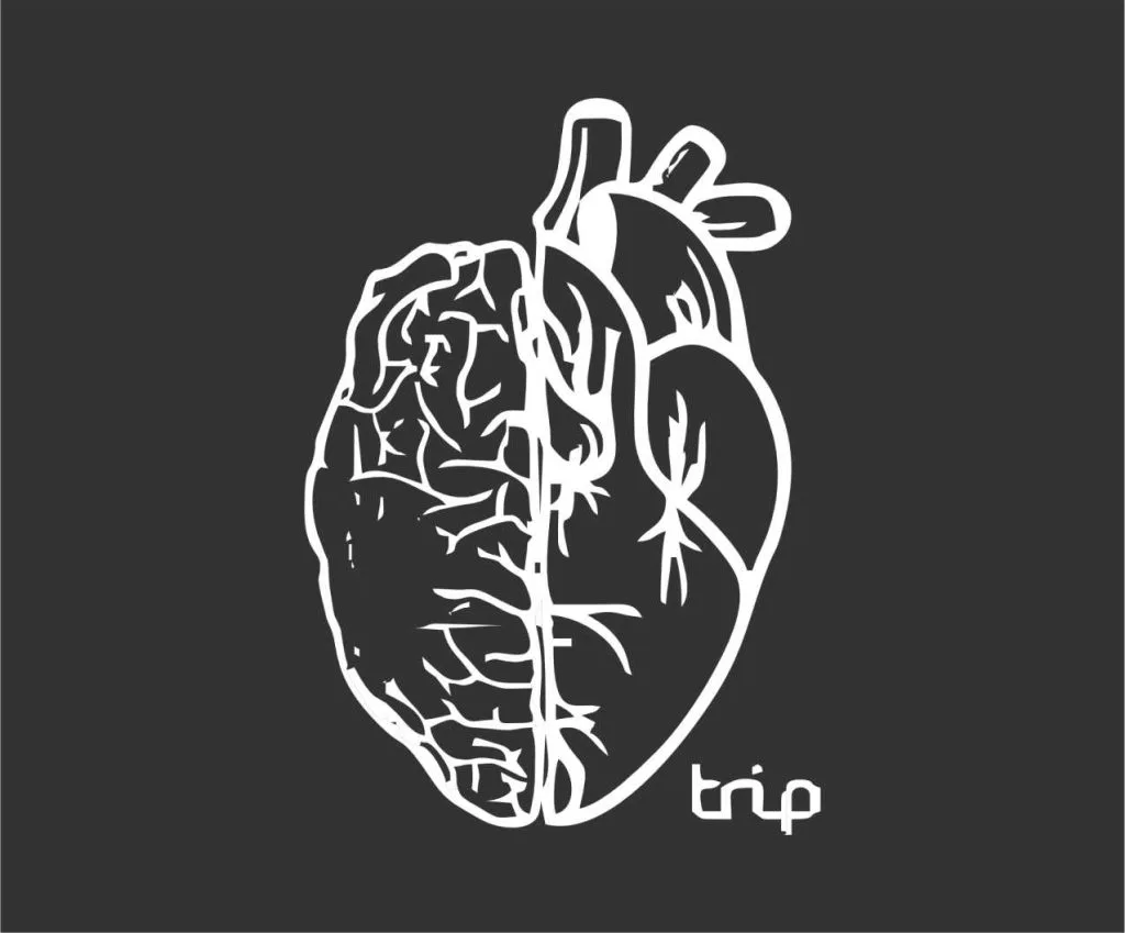 Trip Massage - Franco Noveri