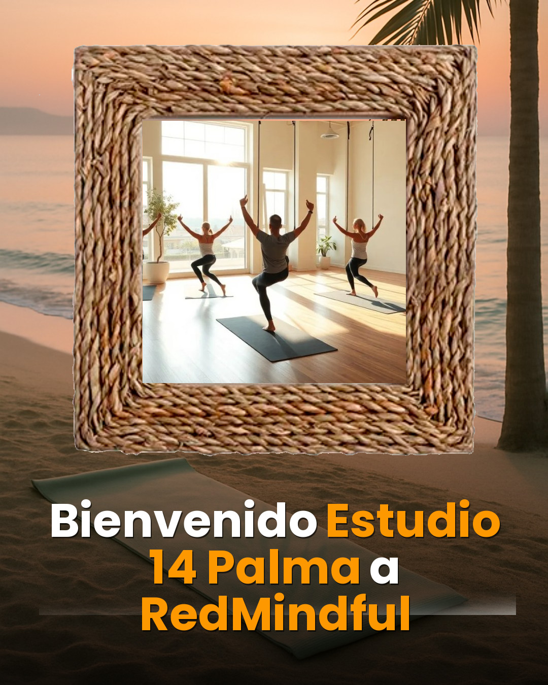 Estudio 14 Palma